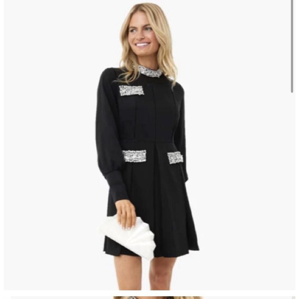 Tuckernuck Black Mini Dress with Silver Sequin Accents